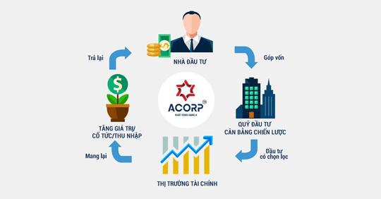 Thị trường tài chính và cấu trúc thị trường